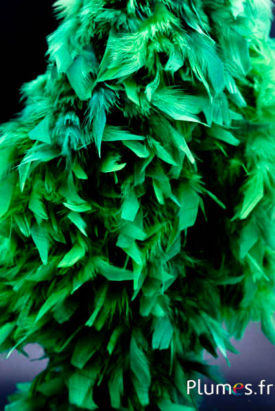 Hahnenboa chandelle - 4-fach, 2 m - grün